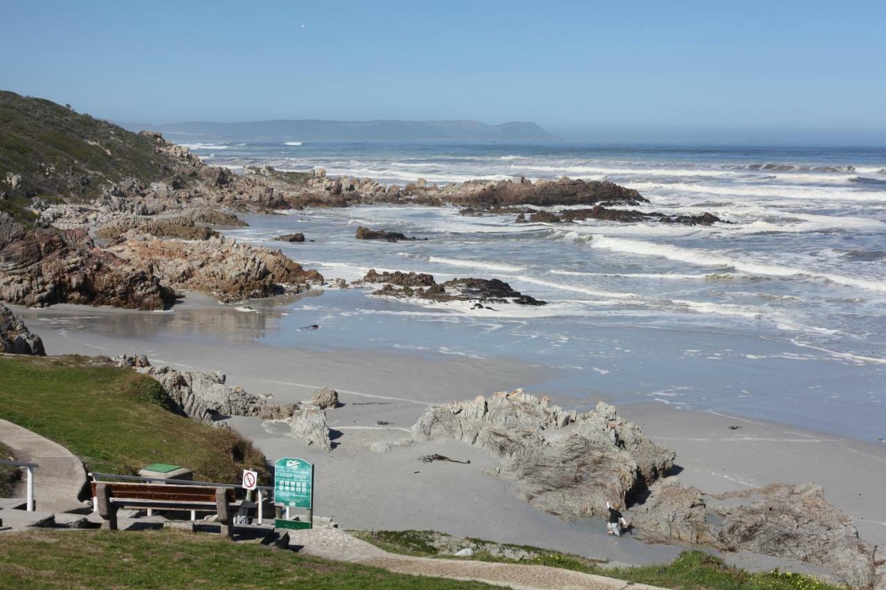 Nothing But View Apartment Hermanus Bagian luar foto